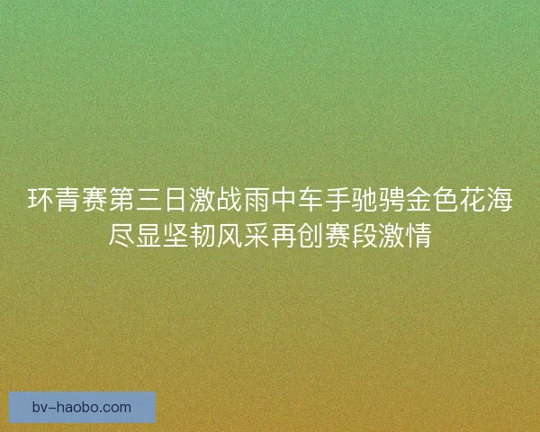 环青赛第三日激战雨中车手驰骋金色花海尽显坚韧风采再创赛段激情