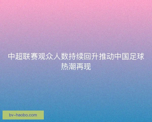中超联赛观众人数持续回升推动中国足球热潮再现