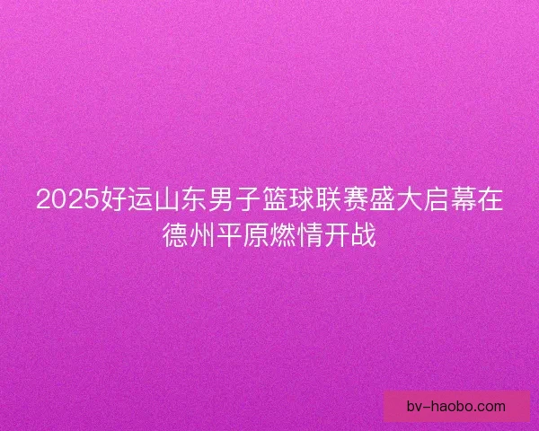 2025好运山东男子篮球联赛盛大启幕在德州平原燃情开战 2025好运山东男子篮球联赛盛大启幕在德州平原燃情开战